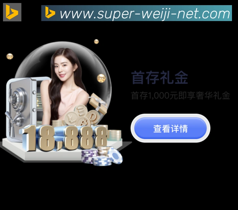 未来规划